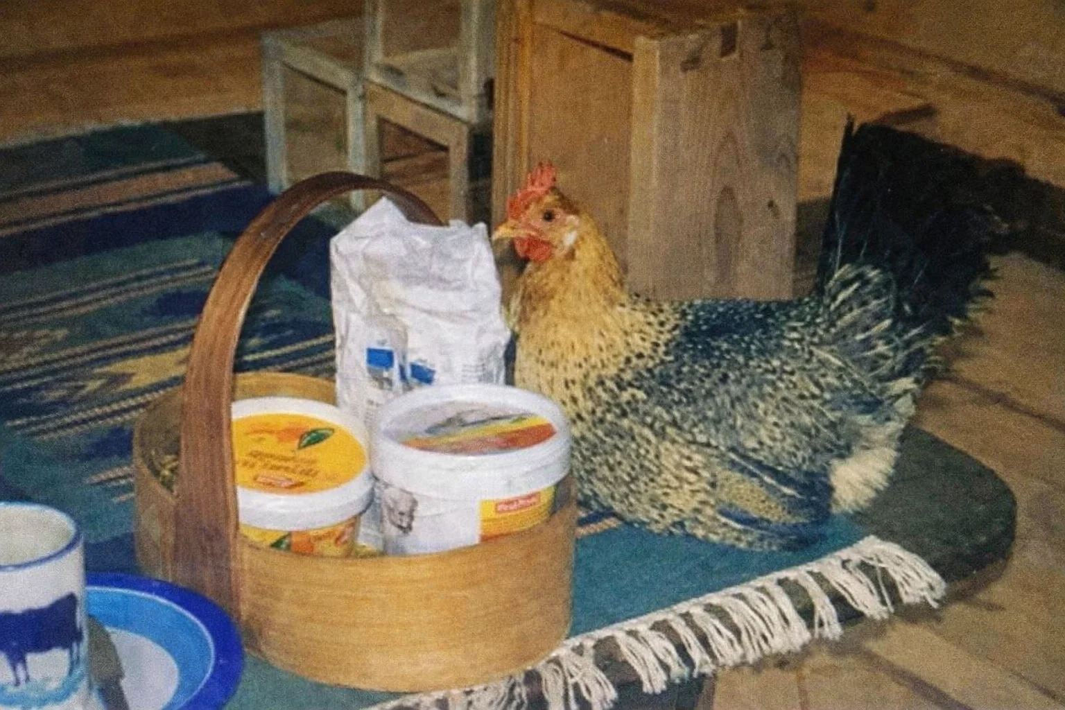 Jærhøns 2